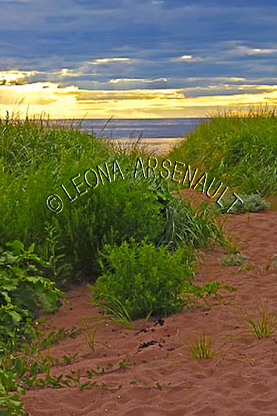 CANADA;PRINCE EDWARD ISLAND;PRINCE COUNTY;MAXIMEVILLE;BEACHES;SUMMERS;RED SOIL;WATER;SAND;SUNSETS;WATERSCAPE;SCENIC;VERTICAL